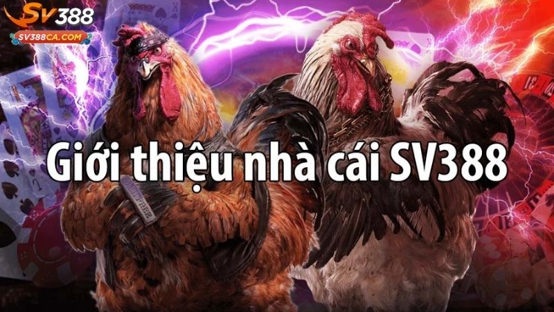 Đăng ký SV388