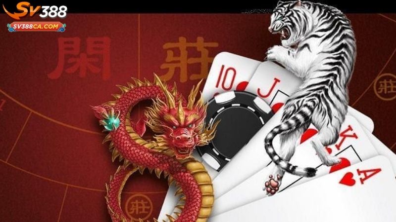 cách chơi rồng hổ