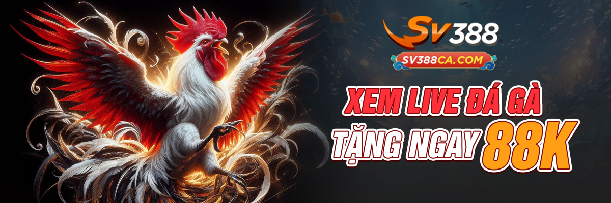 sv388 - xem đá gà tại sv388ca tặng ngay 88k