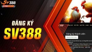 vì sao nên chơi đá gà tại sv388
