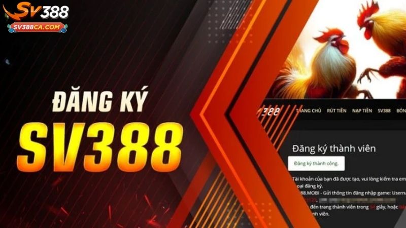 vì sao nên chơi đá gà tại sv388